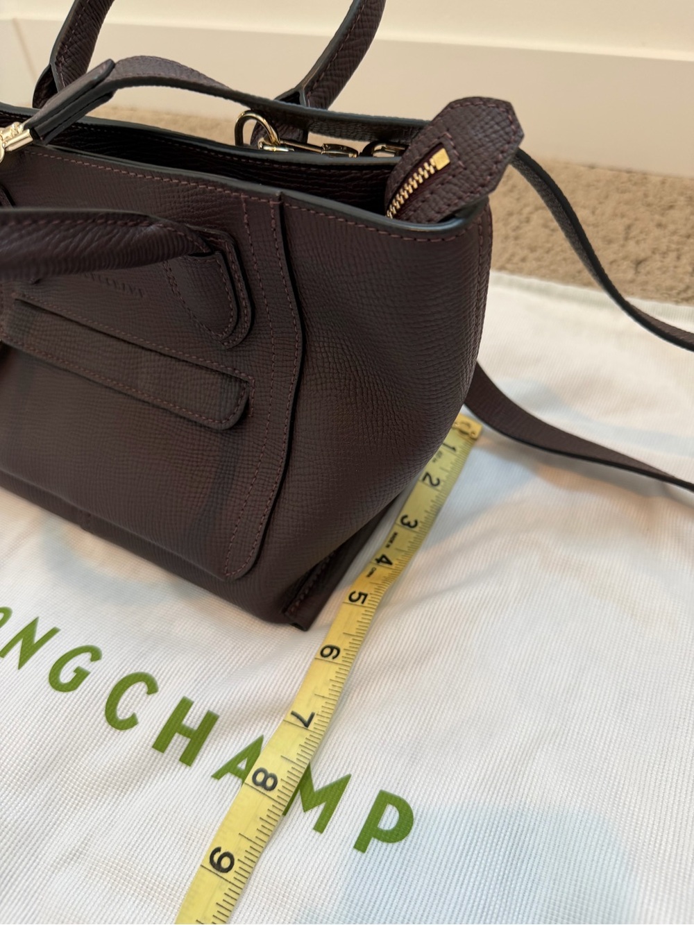 Longchamp Dark Purple Pebbled Leather Crossbody Mailbox Bag with Gold Hardware - Picture 9 of 9